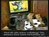 sind die alle schon vollj�hrig?