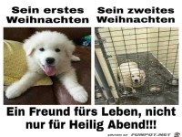 Hunde sind Freunde f�rs Leben