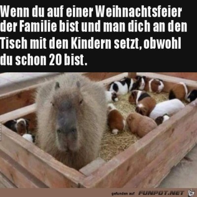 An-den-Kindertisch-verbannt.jpg von Matteo
