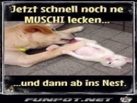 Jetzt schnell noch ne MUSCHI lecken....