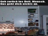 Nachts in der K�che