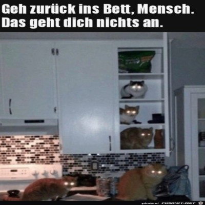 Nachts-in-der-K&uuml;che.jpg von Brenda