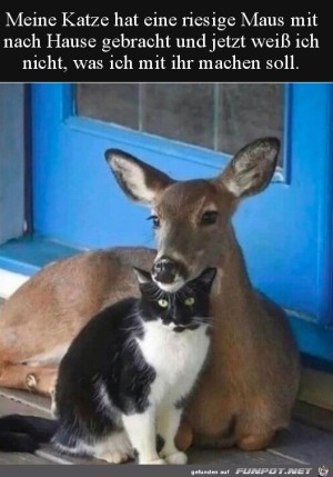 Riesige-Maus.jpg auf www.funpot.net