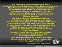 Im Tierpark Sch�nbrunn soll eine Schildkr�te eine Injektion