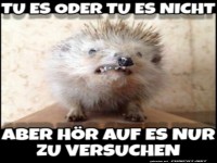 tu es oder tu es nicht