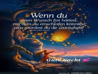 Wenn du einen Wunsch frei httest