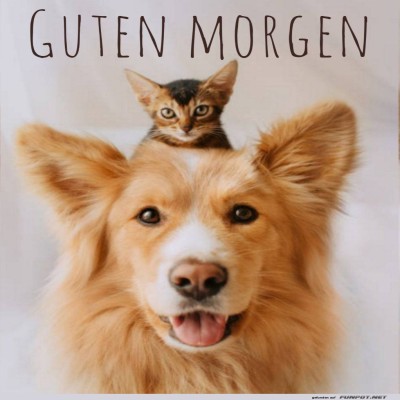 Guten-Morgen.jpg von Eliano17