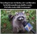FunpotNews