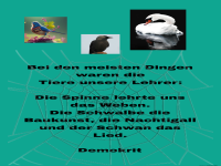 bei den meisten dingen