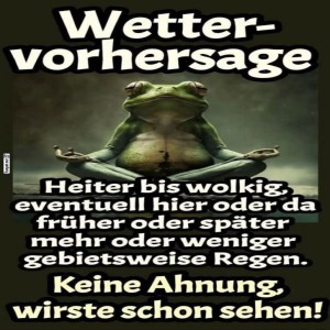 fun-Bild: Frosch-Yoga mit Wetter-Chaos