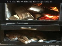 Feurige Gem�tlichkeit f�r Fellnasen