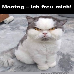fun-Bild: Montag - ich freu mich