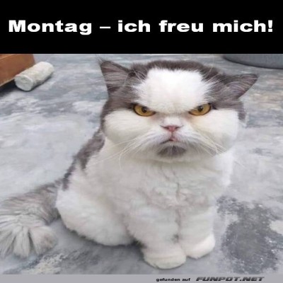 Montag---ich-freu-mich.jpg von Annelie-68