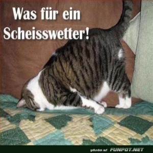 Katz'-und-Maus-Spiel-mit-dem-Wetter.jpg von Tarik1967