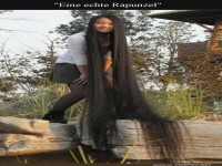 Rapunzel sucht ihre Turmfreunde