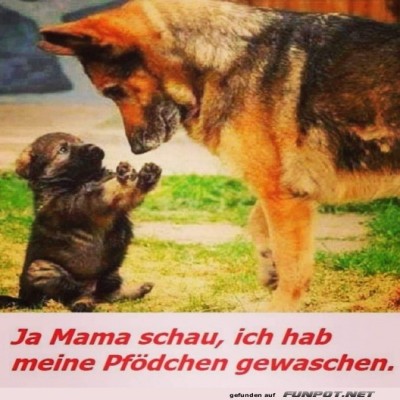 Guck-ich-habe-meine-Pf&ouml;tchen-gewaschen.jpg von Leona