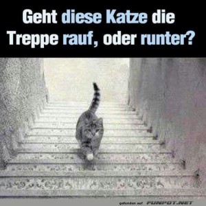Katzen-Illusion:-Aufstieg-oder-Abstieg?.jpg von Gabriel