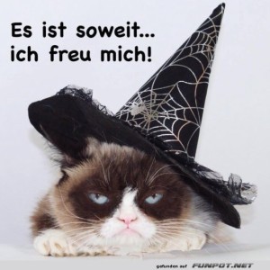 Hexenkatze-mit-Grummelfaktor.jpg von Nele