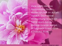 Leute die ihre Bestimmungen finden