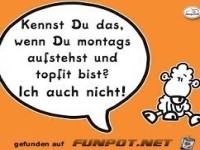 Ich auch nicht