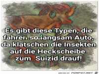 Schleicher