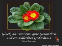 Glueck und Gesundheit