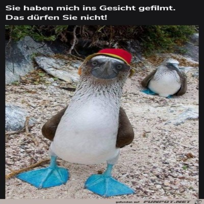 Na-so-eine-Frechheit.jpg von Maddin