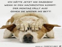 Montag fllt aus