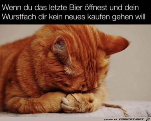 Böses-Wurstfach.jpg auf www.funpot.net
