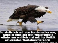 Der Bundesadler
