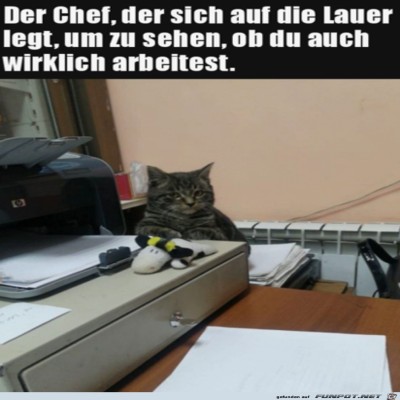 Der-Chef-beobachtet-dich.jpg von Jonah
