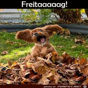 Begrüßungsbild
