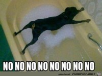 Nur nicht das Wasser ber�hren