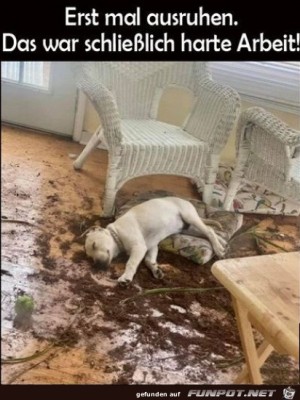 Das-war-anstrengend.jpg auf www.funpot.net