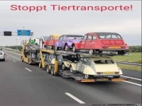 Tiertransporte