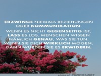 Erzwinge niemals Beziehungen