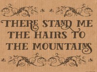 Da stehen mir die Haare zu Berge