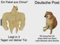 Globale Lieferhelden vs. Schneckenpost