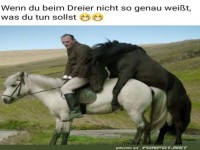 Dreier-Dilemma: Pferde-Edition