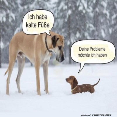 Der-hat-Probleme.jpg von Gregor