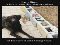 Rizzos geheimes Ordnungssystem entdeckt