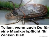 Zecken mit Maulkorb: Die neue Mode?
