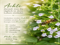 achte darauf, was du