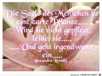 Die seele des Menschen