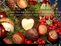 Unser Herz mag altern...