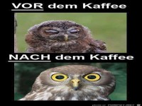 vor dem Kaffee