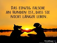 Das einzig falsche an Hunden: