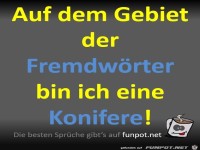 Das Gebiet der Fremdwörter