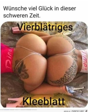 Kleeblatt.jpg auf www.funpot.net