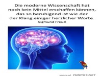 Die Wissenschaft